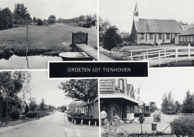 601724 Collage van gezichten te Tienhoven en Oud-Maarsseveen (gemeente Maarssen): -een weiland;-de Nederlands-Hervormde ...